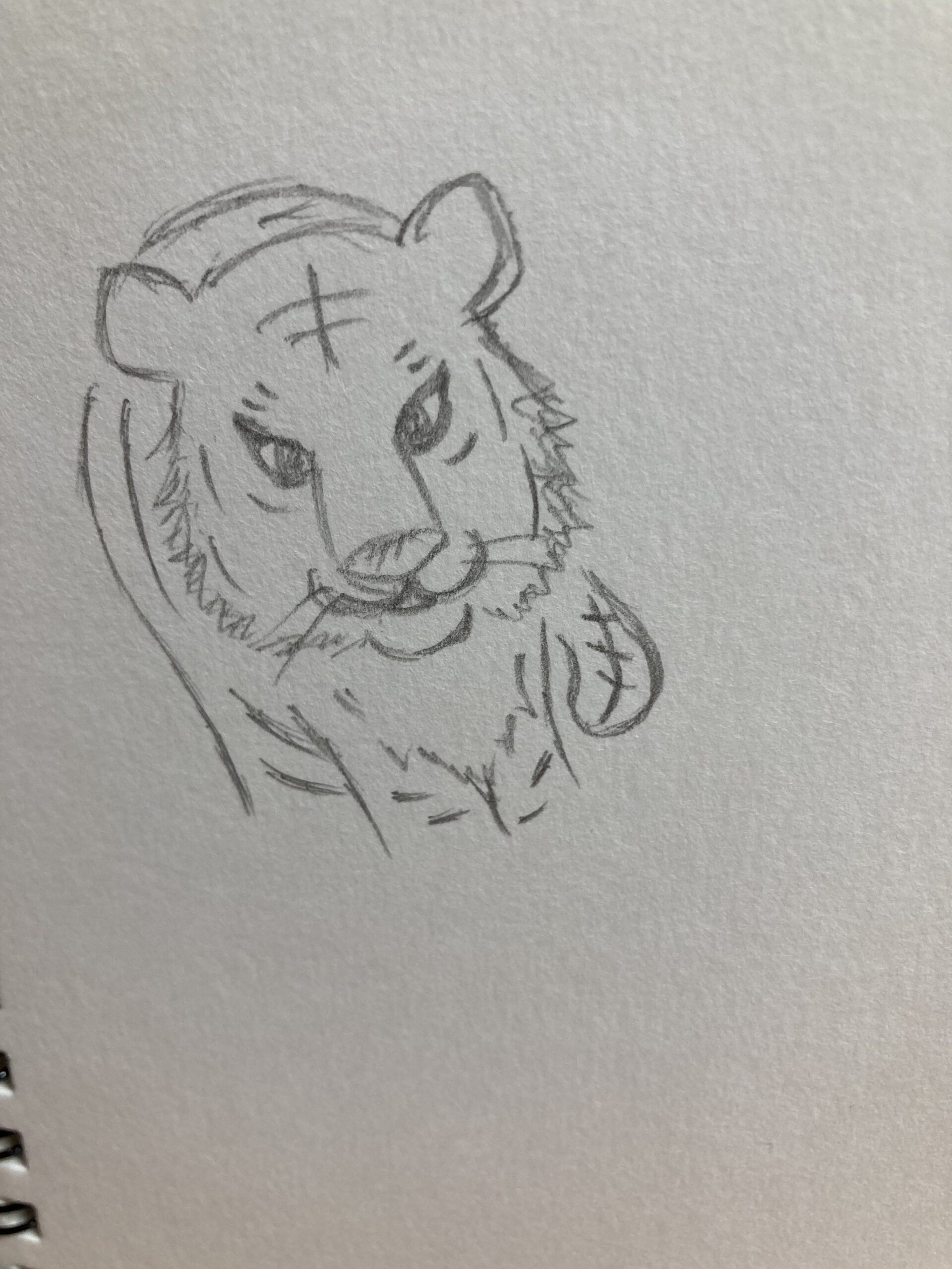 ２０２２年とらの絵を描こう