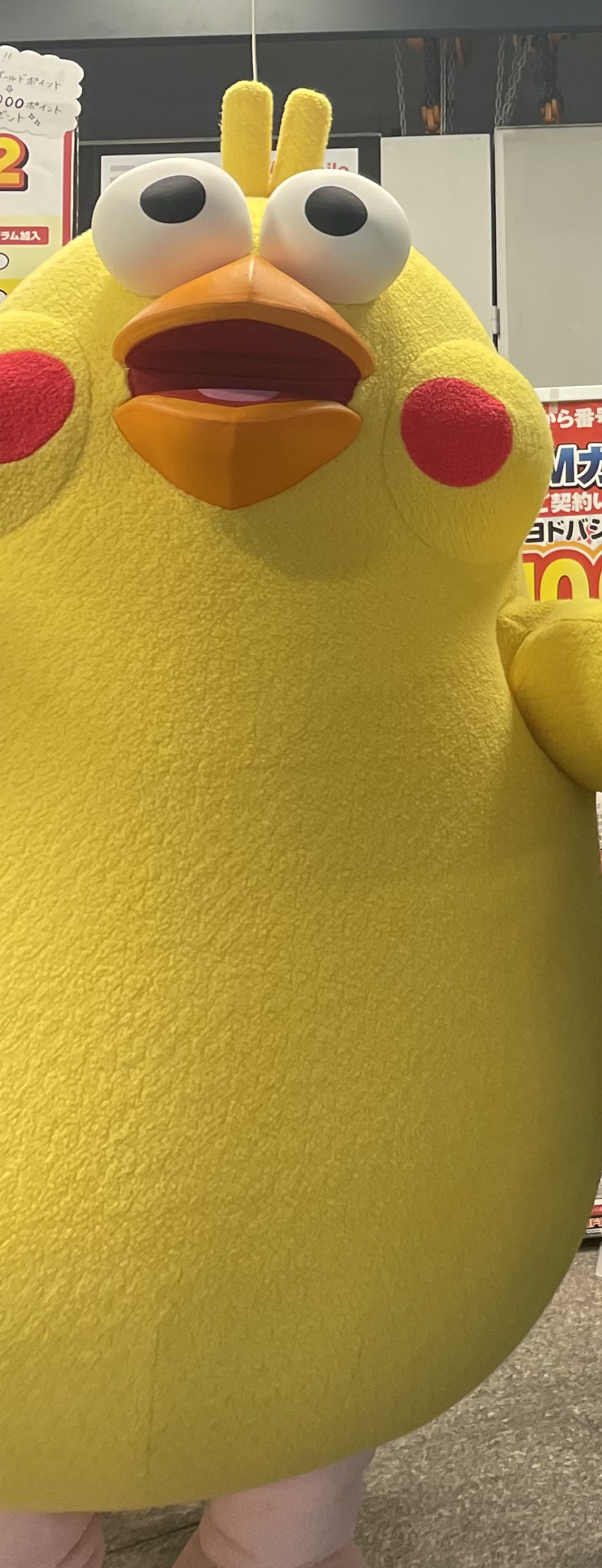 ポインコ