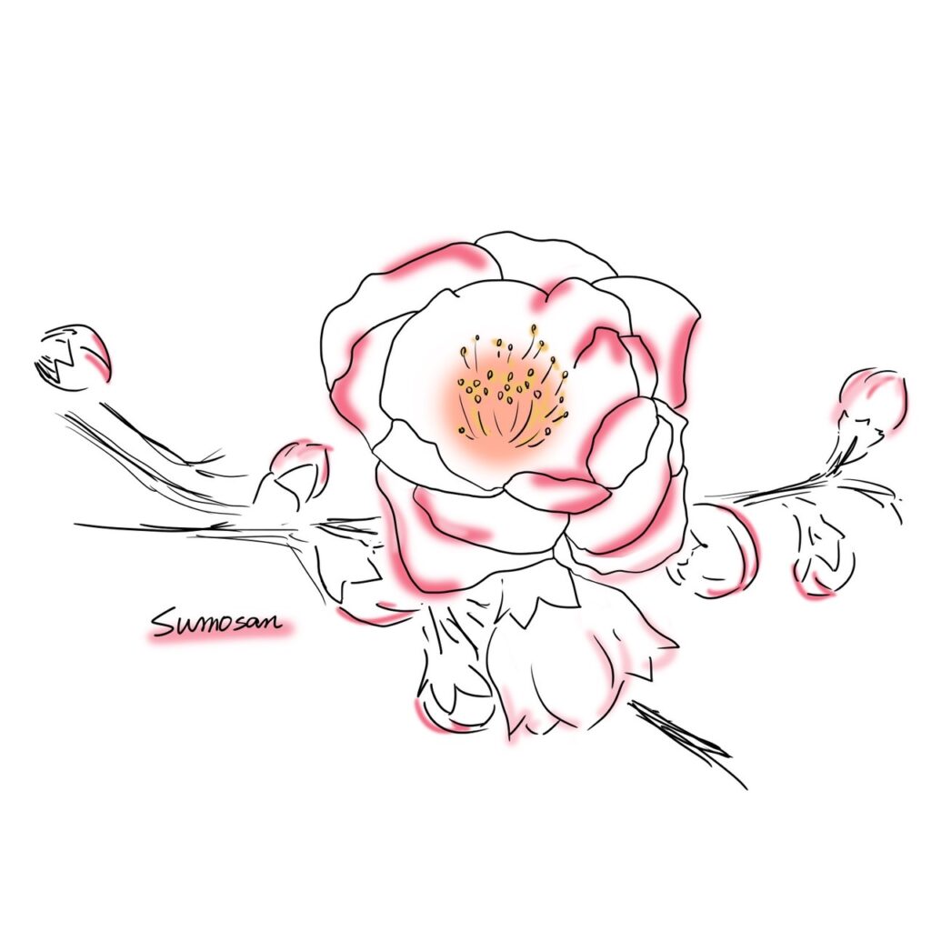 すもさん　イラスト　デザイン　桃の花