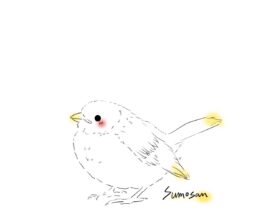 すもさん　イラスト　デザイン　すずめ