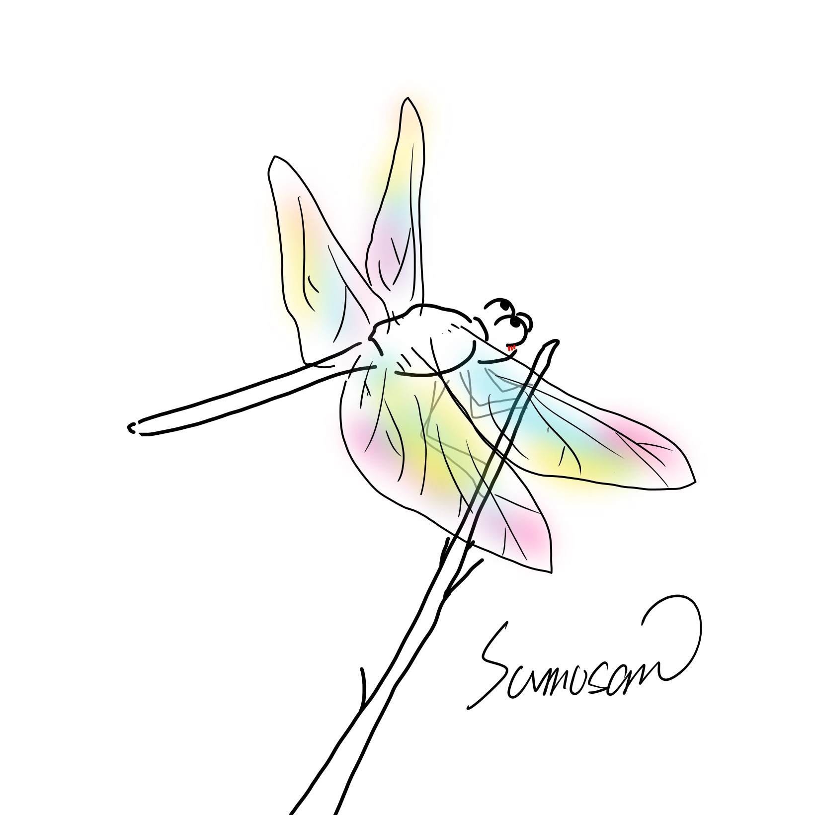 すもさん　イラスト　デザイン　とんぼ